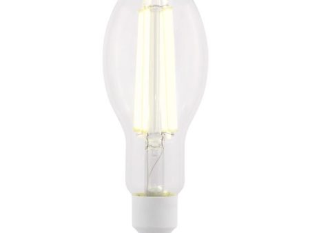 Westinghouse ED28 E26 (Medium) Filament LED Bulb Daylight 300 Watt Equivalence 1 pk Fashion