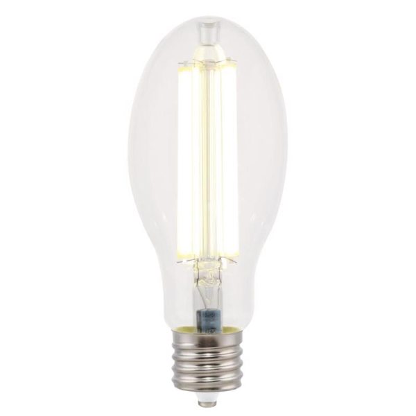 Westinghouse ED28 EX39 (Mogul) Filament LED Bulb Daylight 300 Watt Equivalence 1 pk Online Sale