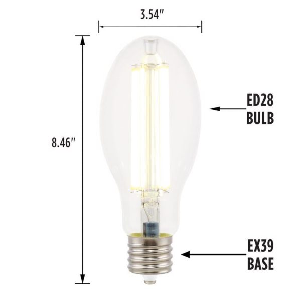 Westinghouse ED28 EX39 (Mogul) Filament LED Bulb Daylight 300 Watt Equivalence 1 pk Online Sale