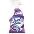 Lysol Mold and Mildew Stain Remover 32 oz For Cheap