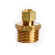 3 8 in. Compression X 3 4 in. D MPT Brass Connector Online